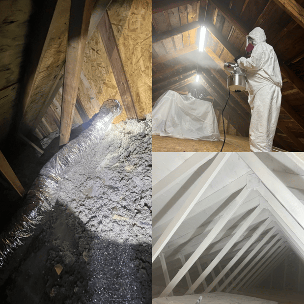 Images Quality Mold Remediation LLC