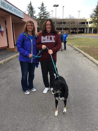 Images Billiejo Vecchio: Allstate Insurance