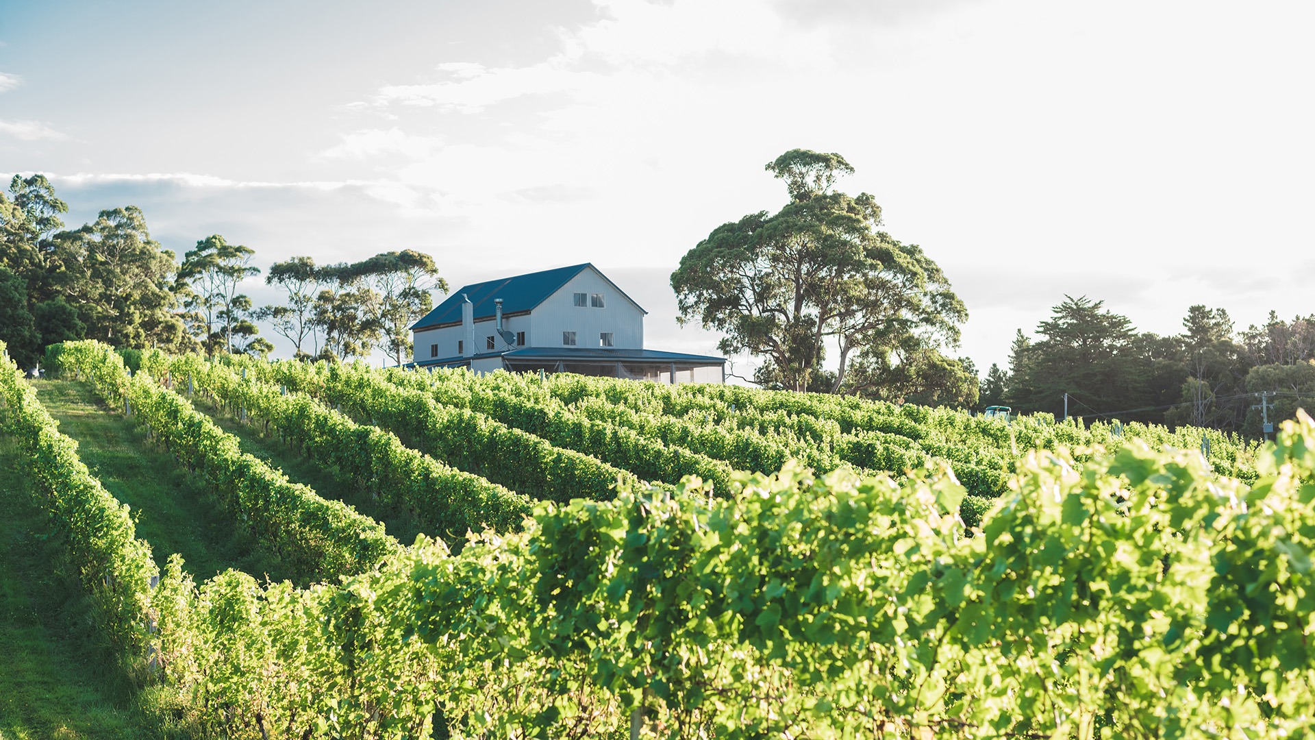 Images Bruny Island Premium Wines