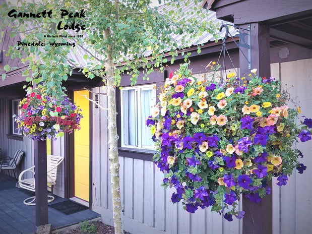 Images Gannett Peak Lodge