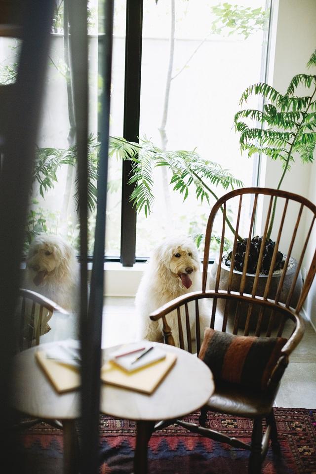 Images ヘーベルハウス港南台展示場