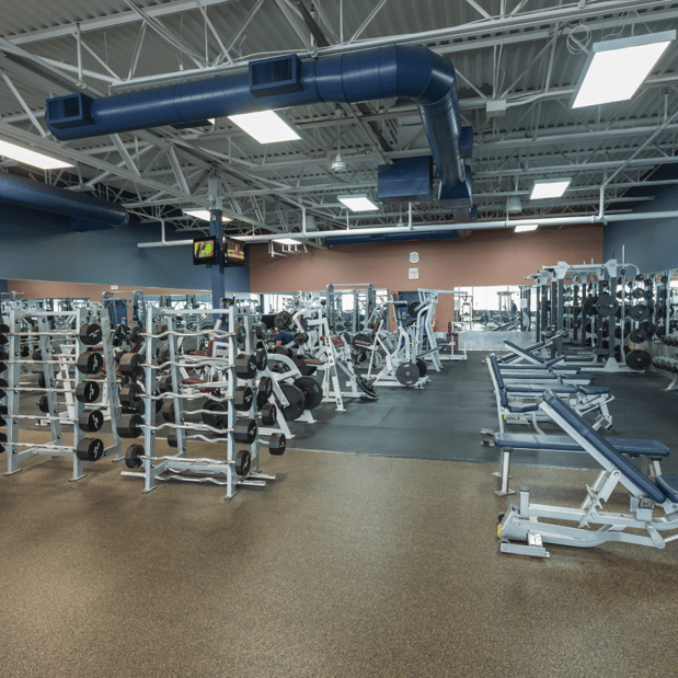 Images The Workout Club of Manchester