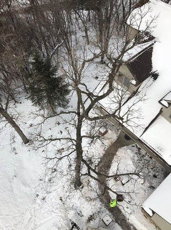 Images JCE Tree Service