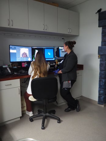 Images VCA Palm Beach Veterinary Specialists