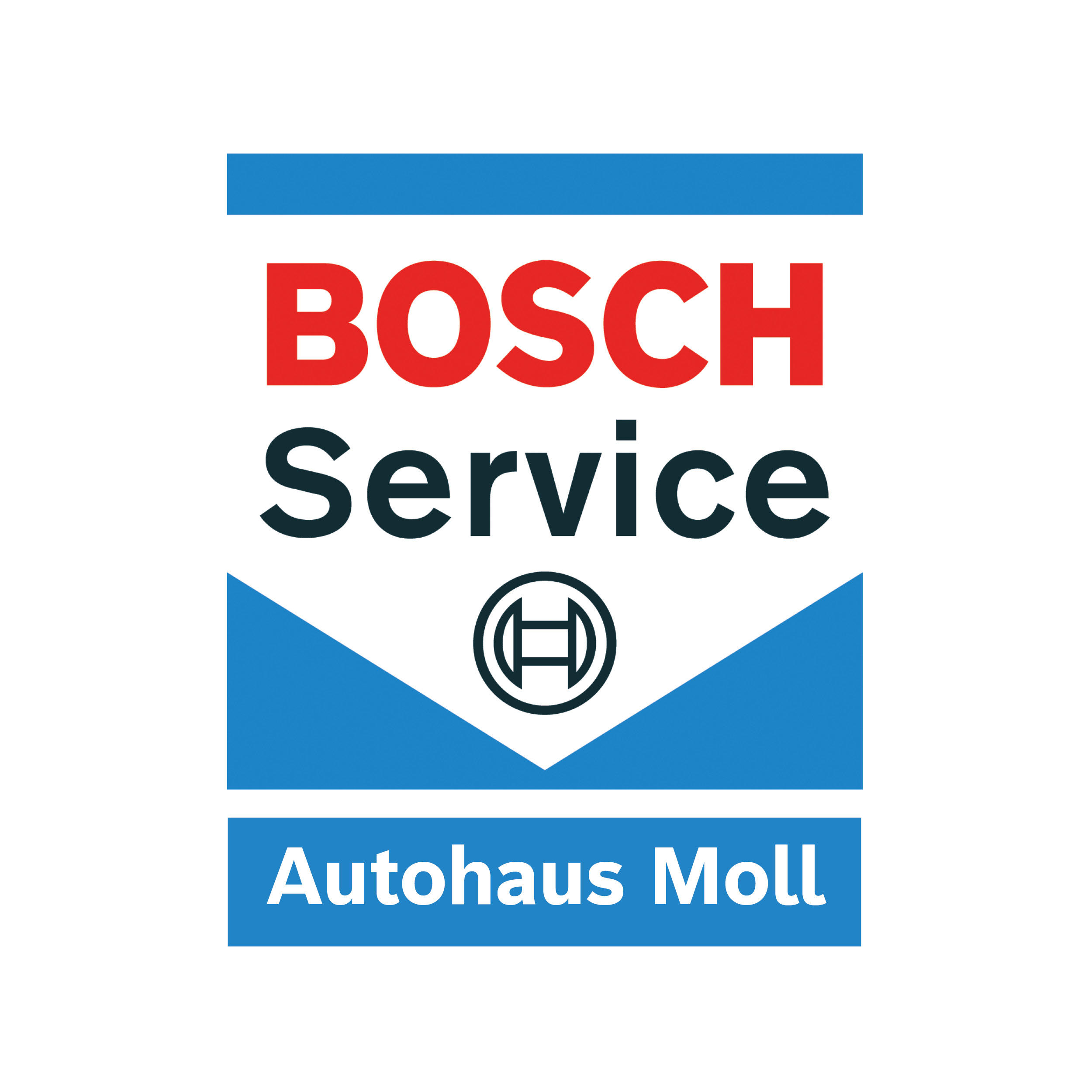 Autohaus Moll GmbH & Co  