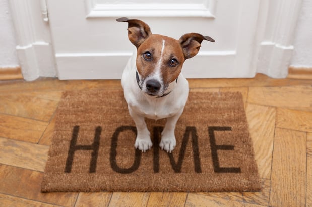 Images Karen Miller, Realtor
