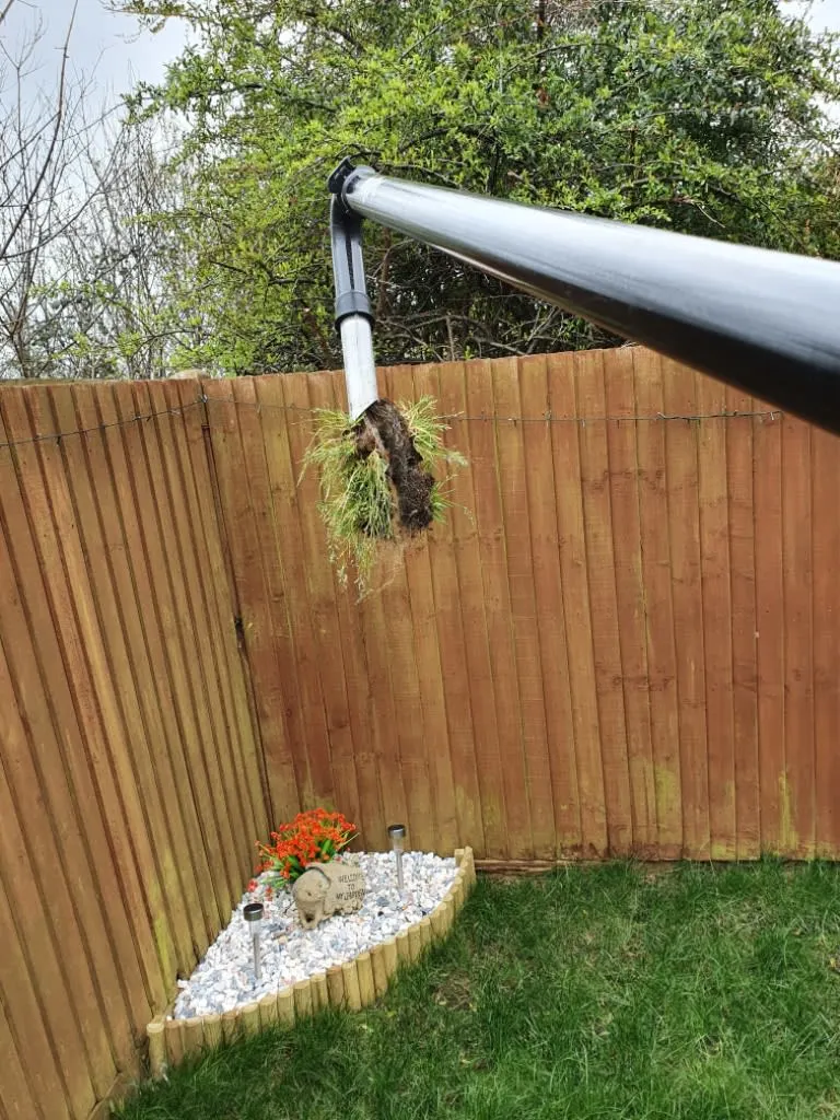 Images TMR Cleaning Services