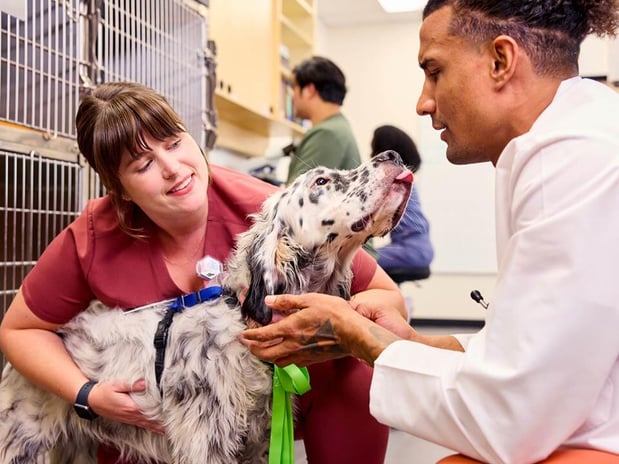 Images Banfield Pet Hospital