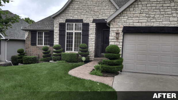 Images Buzz Cut Lawn Care