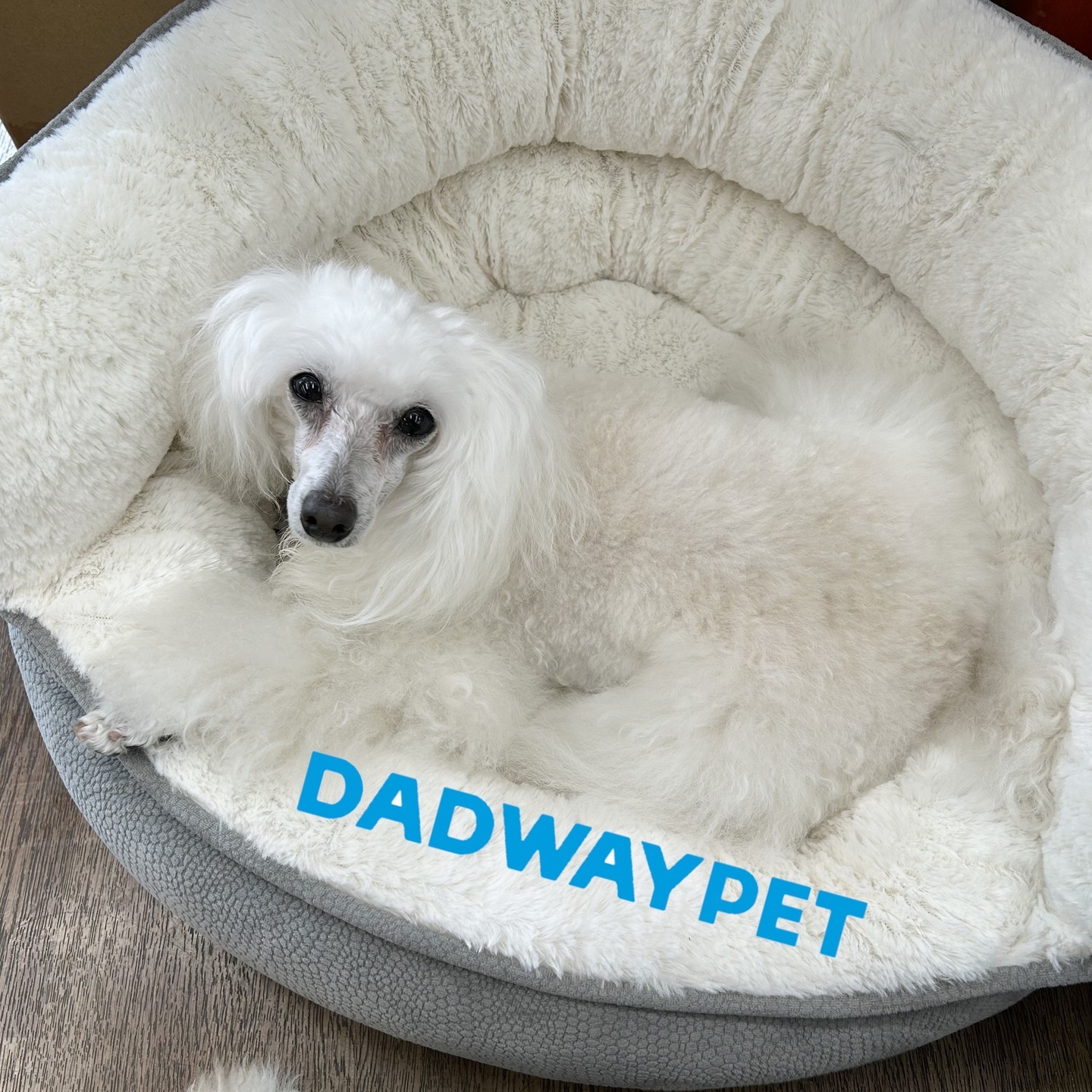 Images たまとポチ 宇津木店