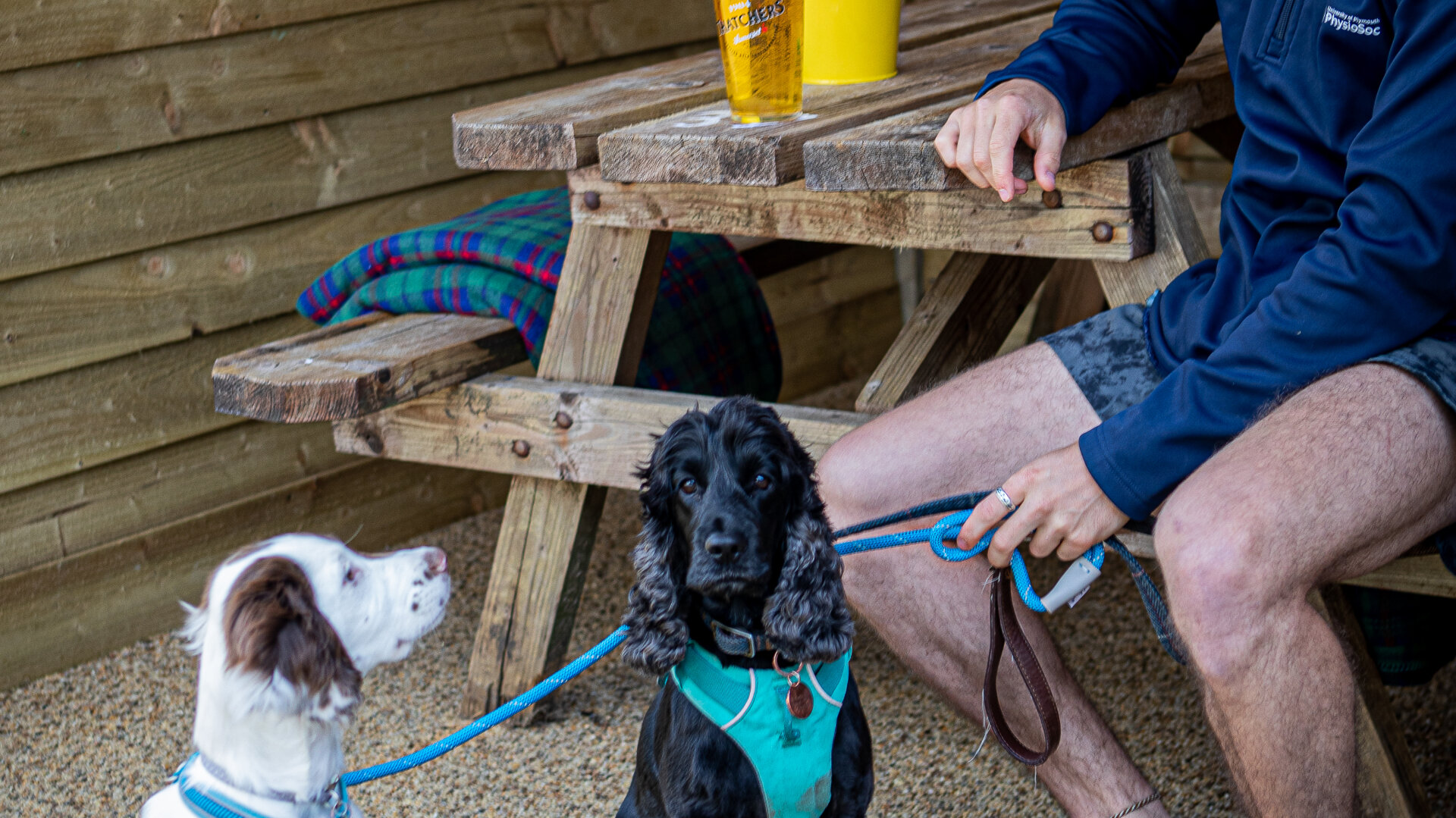 Images The Burrator Inn