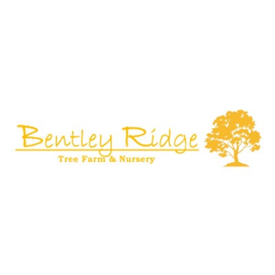 Bentley Ridge Tree Farm