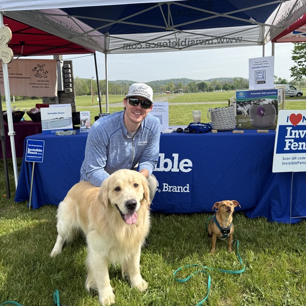 Fresh trained Invisible Fence® dogs in Carbon County, Pennsylvania