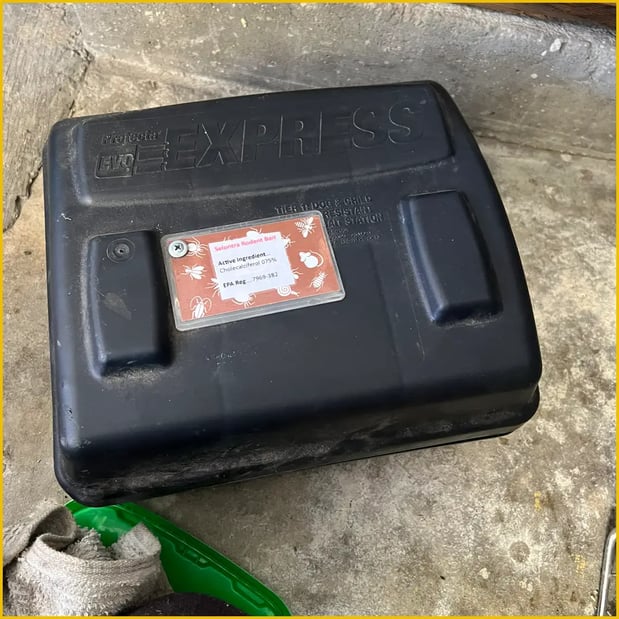 Images Browny Pest Control