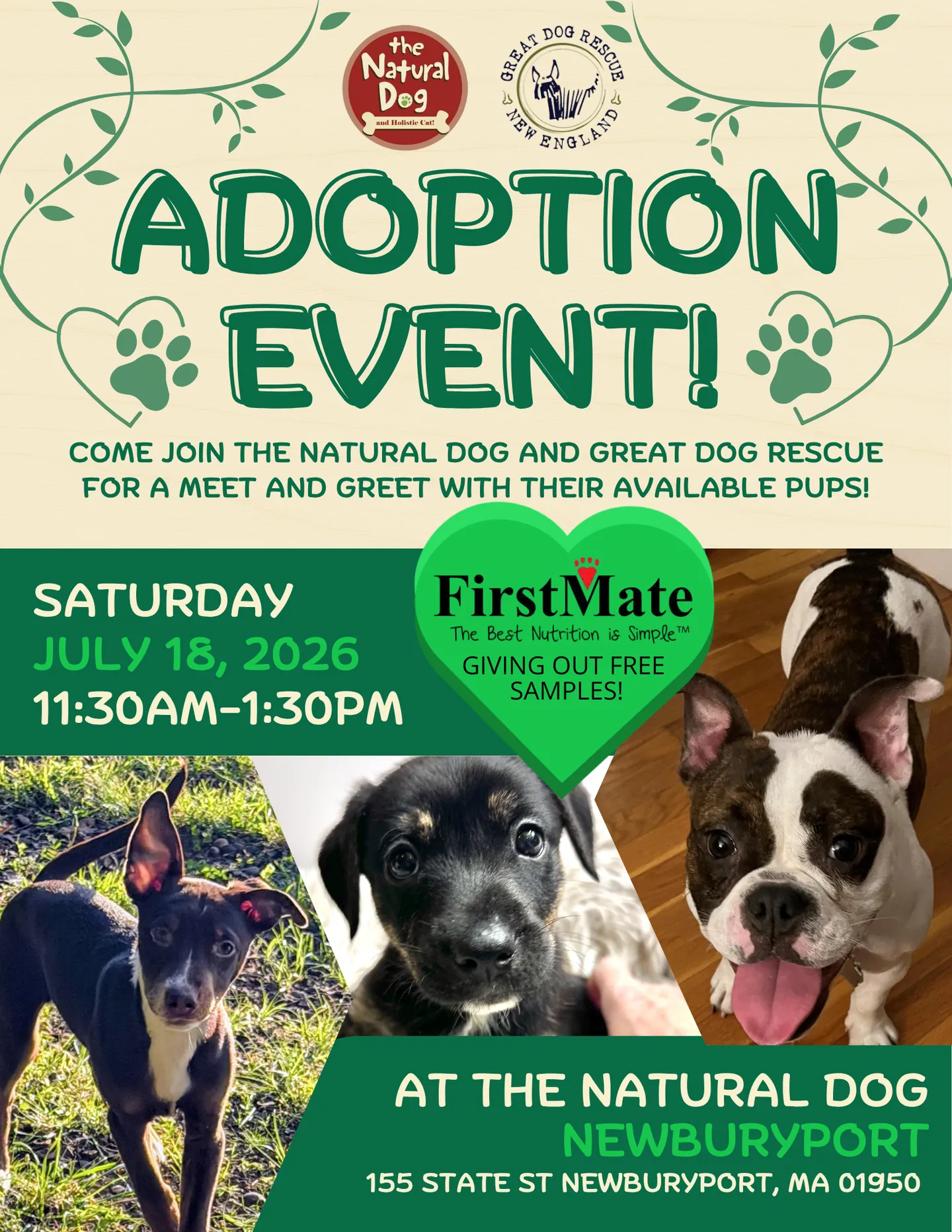 Image of Local Pet Event Adoption Event with Great Dog Rescue Nearby