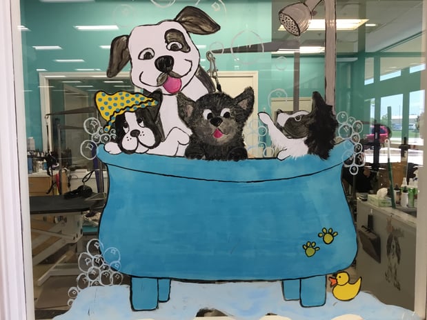 Images Petco Grooming