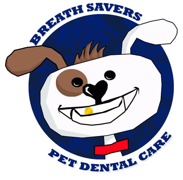 Images San Diego Grooming Academy