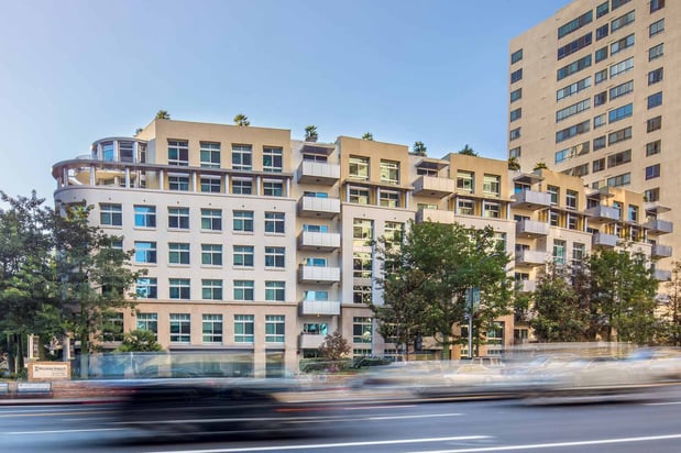 Images Wilshire Margot