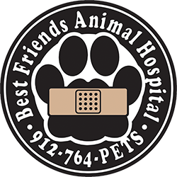 Best Friends Animal Hospital - Statesboro, GA 30458 - (912)764-7387 | ShowMeLocal.com