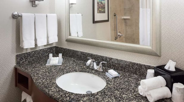 Images Hilton Garden Inn Denver Downtown