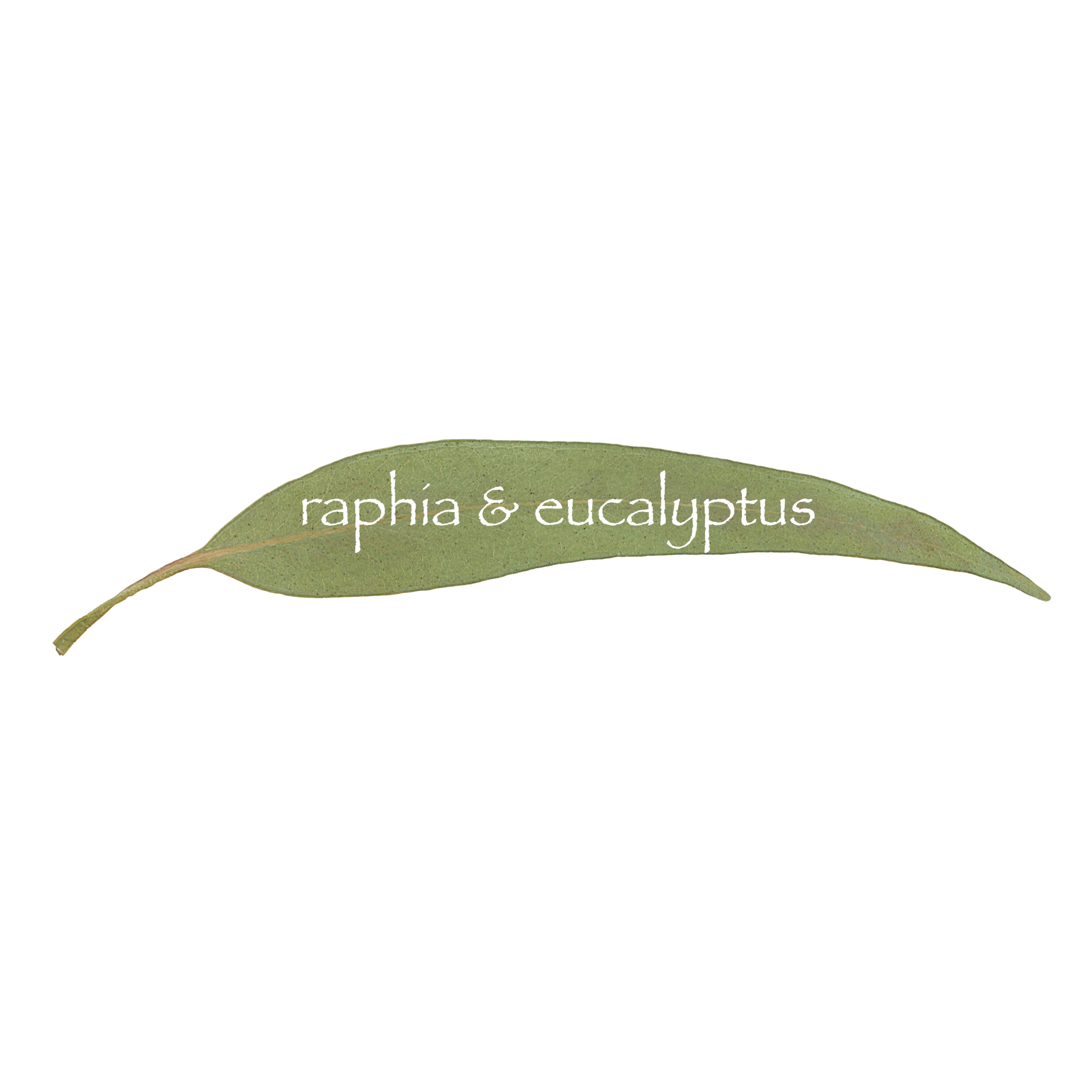 raphia & eucalyptus Barcelona