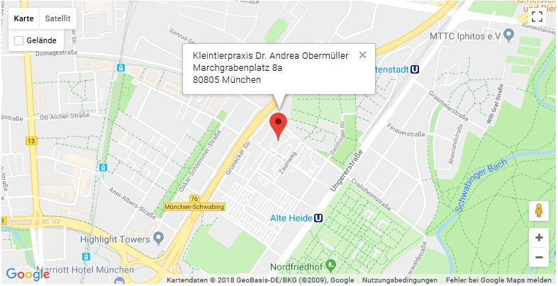 Kleintierpraxis Dr. Andrea Obermüller | Tierärztin | München