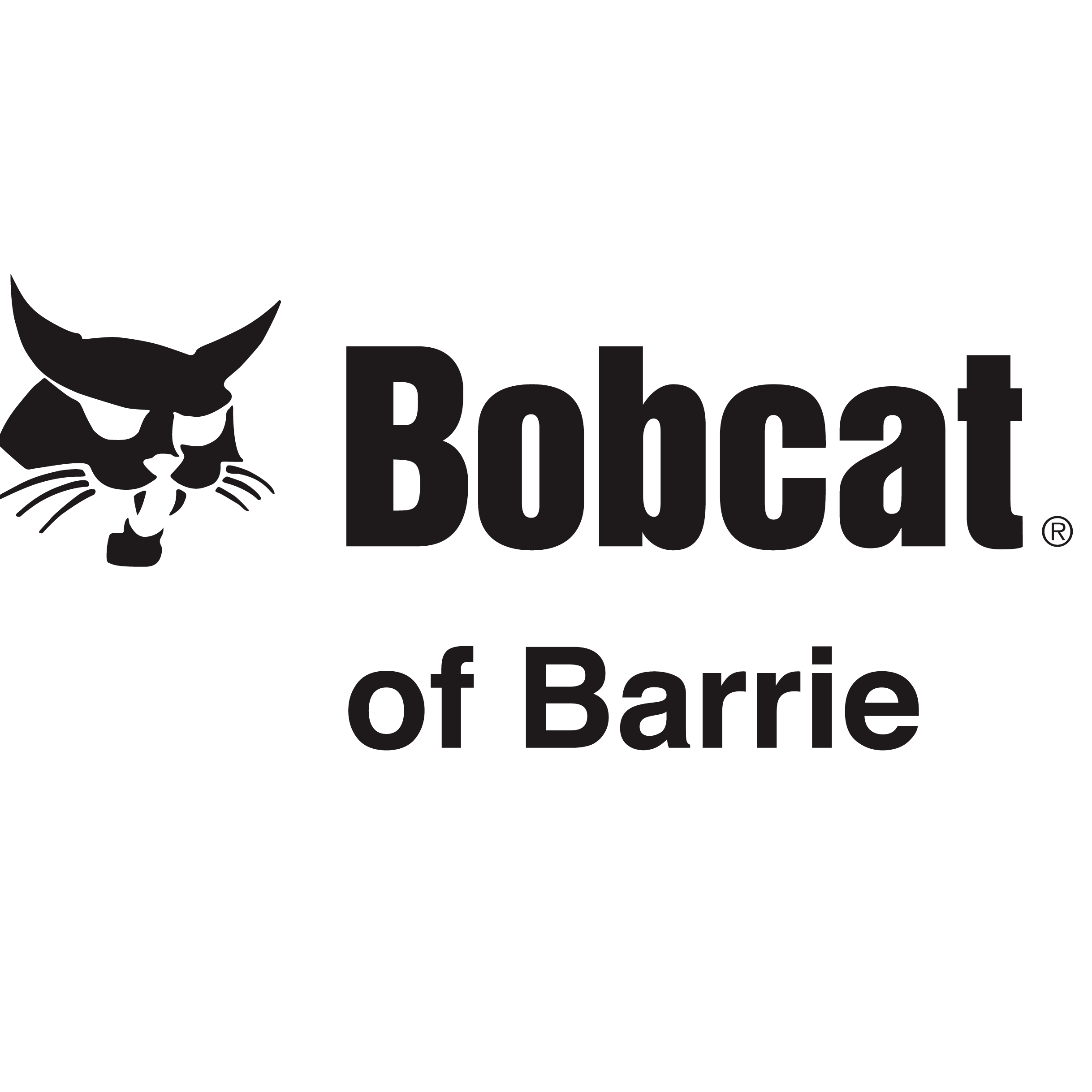 Bobcat of Barrie
