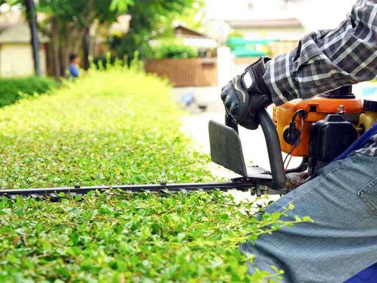 DMC Gardening and Tree Services 3