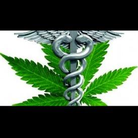 Patient Sensitive Services