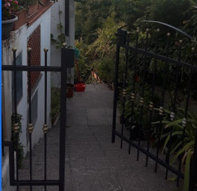 Images Ligustico Ristorante