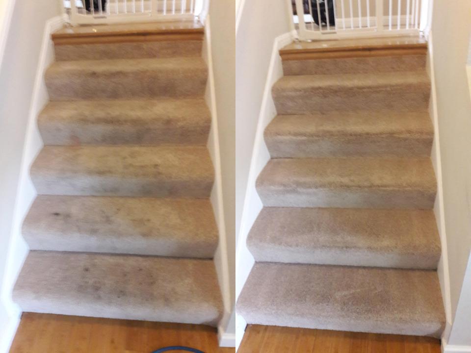 Able Body Carpet & Restoration Photo