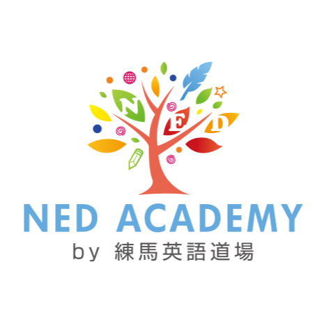 NED ACADEMY Logo