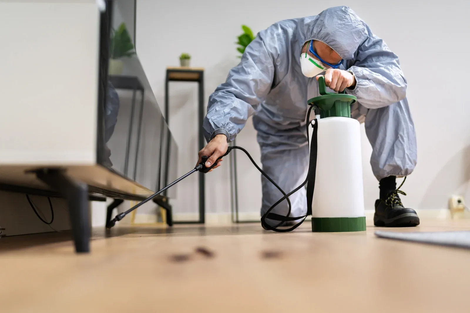 A pest control technician wearing protective clothing and a mask sprays treatment along the floor near furniture using a pressure sprayer, targeting pests and preventing infestations inside a residential environment.