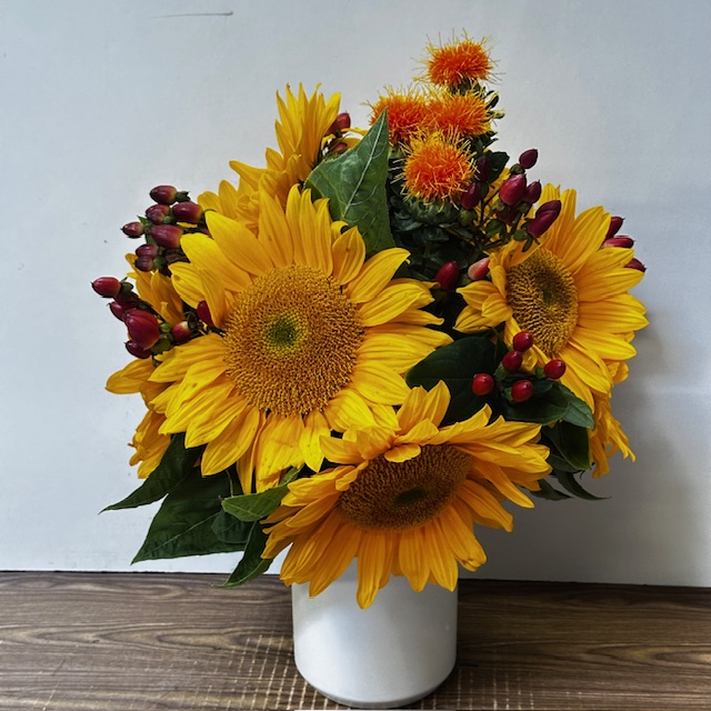 Images Jane's Roses & Flowers