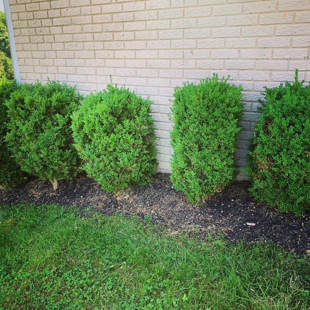 Images Barr Landscaping