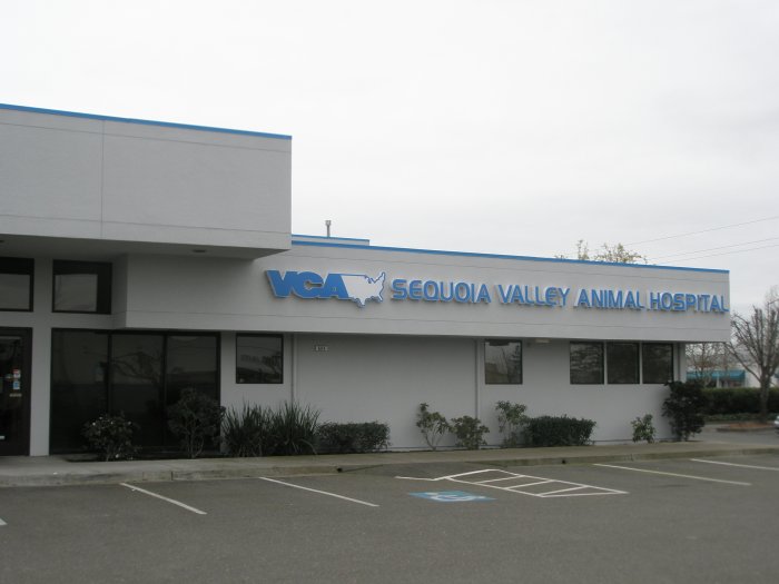 Images VCA Sequoia Valley Animal Hospital