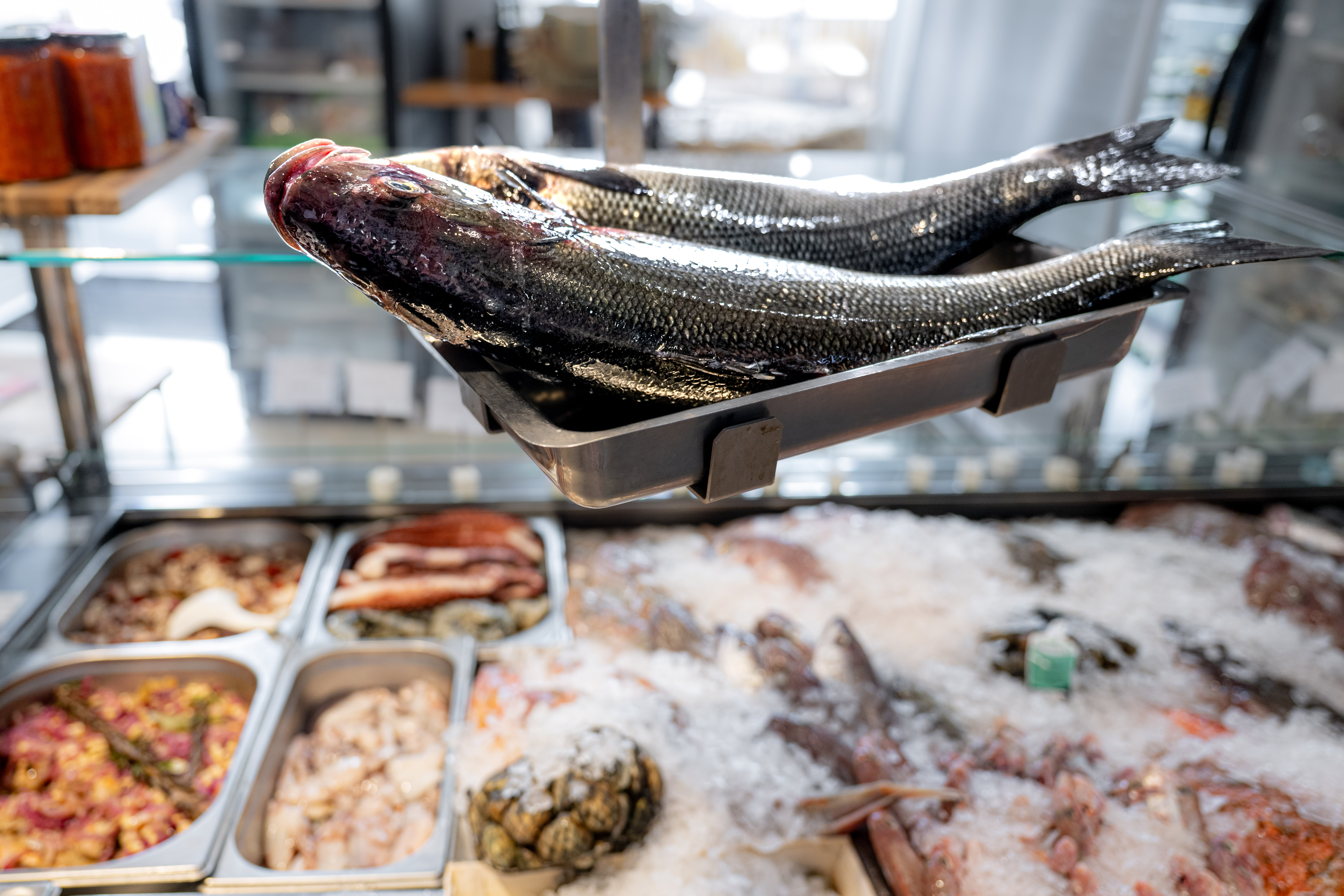Bild 1 von Gastro Fisch Brac