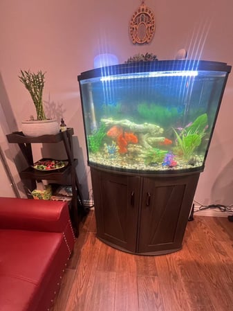 Images Yun Spa