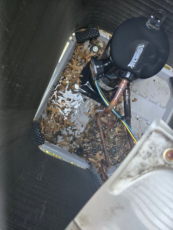 Images Efficient Systems, Inc.