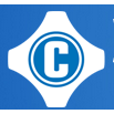 Caseri Walter Logo