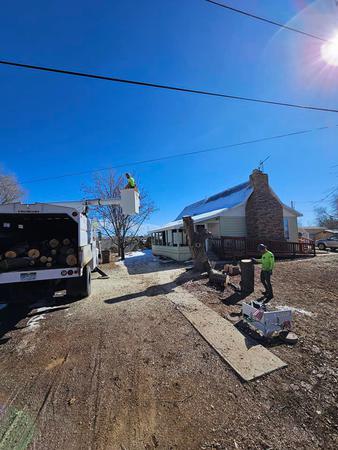 Images H & S Tree Care