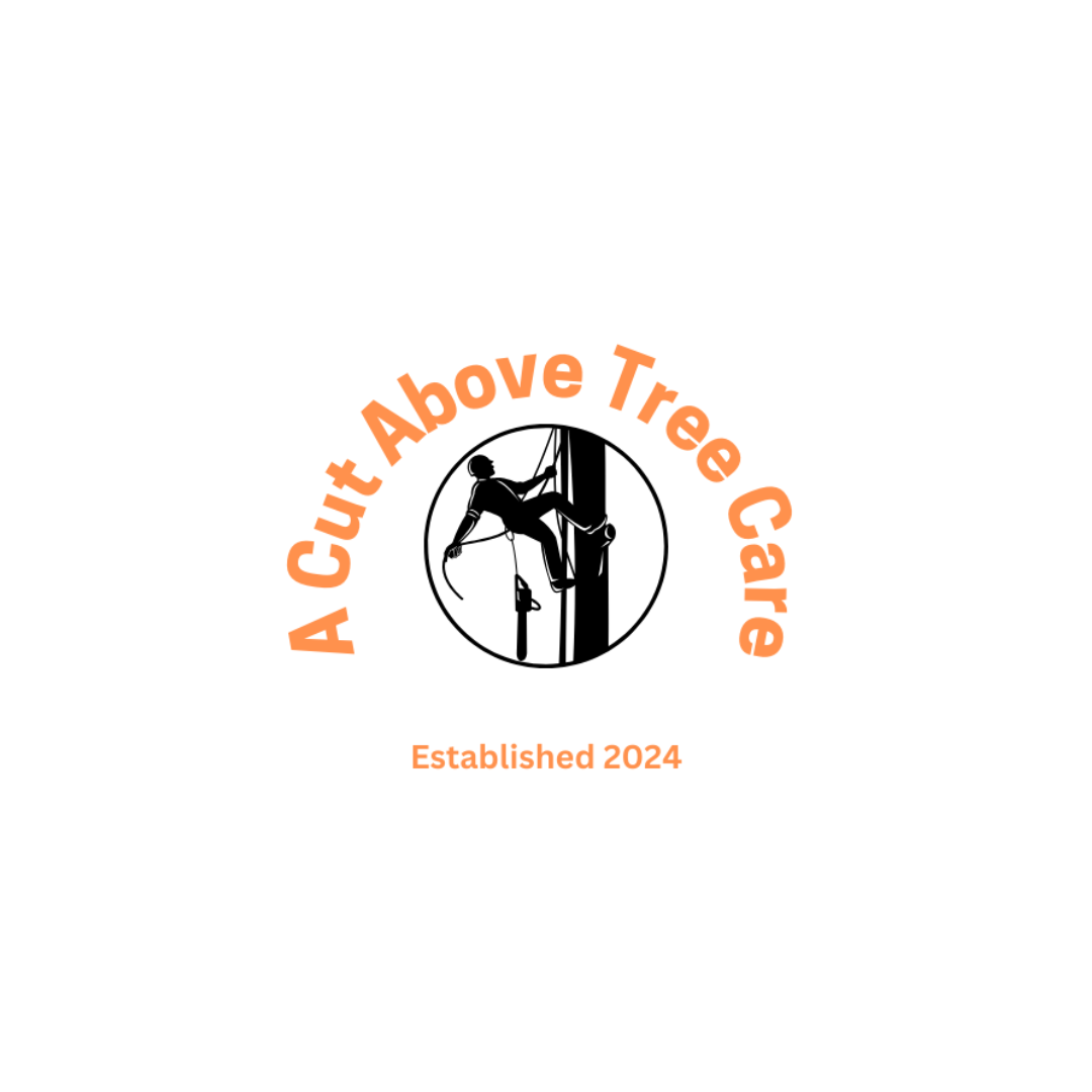 A Cut Above Tree Care
