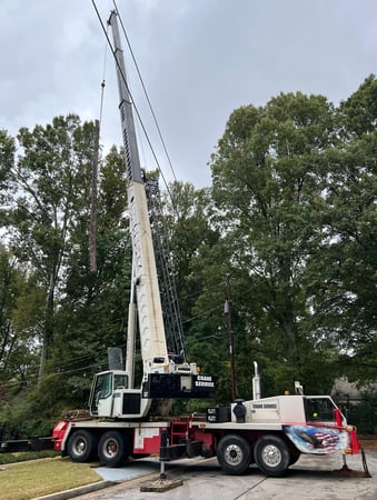 Images TreeDog Atlanta Services LLC