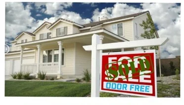 A real estate