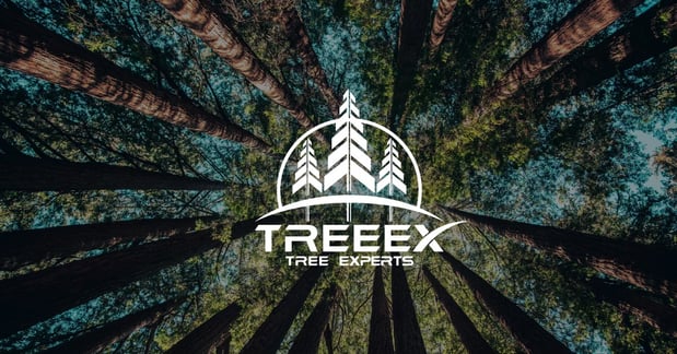 Images TreeEx
