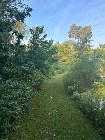 Images Trame Forestry and Land Clearing LLC