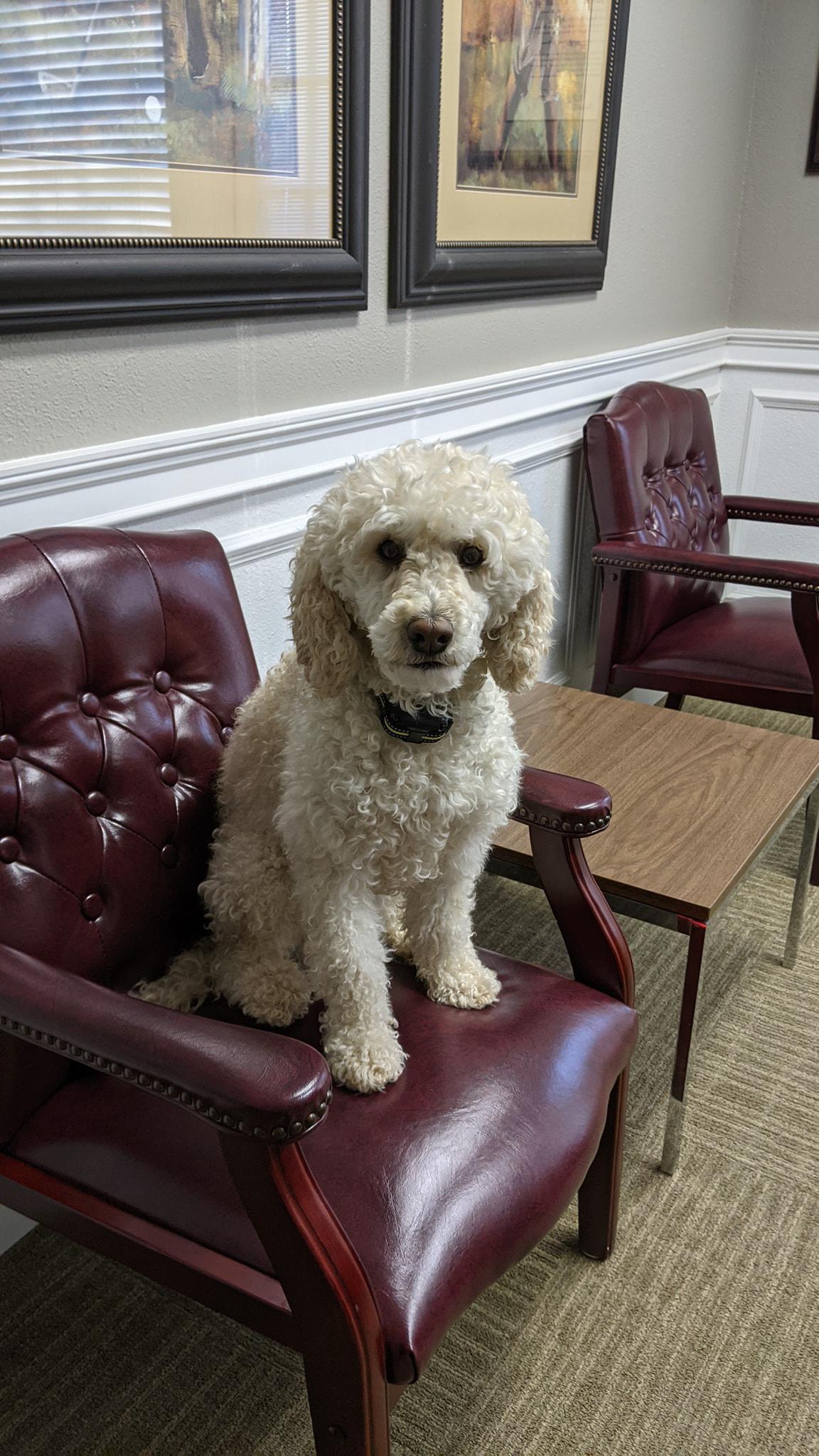 Duane Hartness - State Farm Insurance Agent Logo