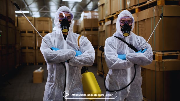 Images Pest Control Baltimore