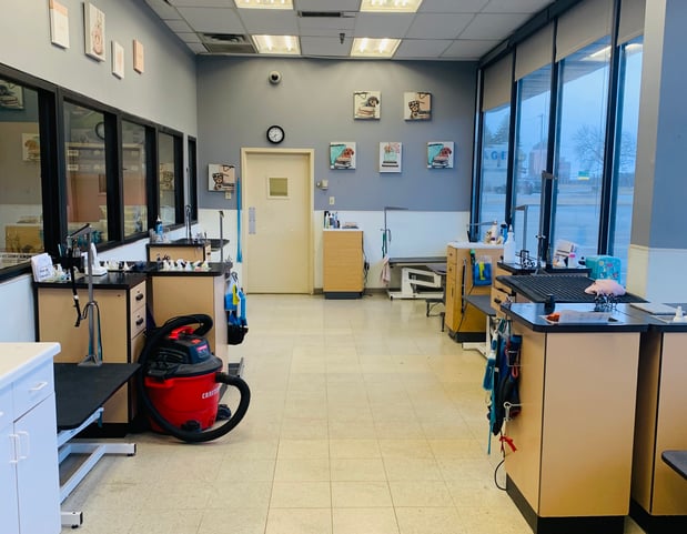 Images Petco Grooming