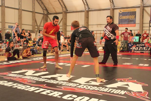 Images Aguirre's Fighting System
